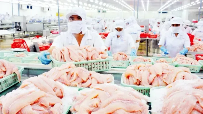 7 doanh nghiệp cá tra Việt được miễn thuế chống bán phá giá tại Mỹ