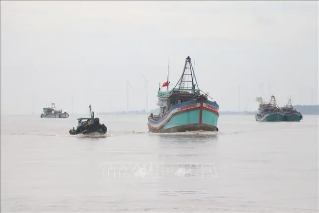 Ben Tre is intensifying efforts to combat illegal, unreported and unregulated (IUU) fishing. (Photo: VNA)