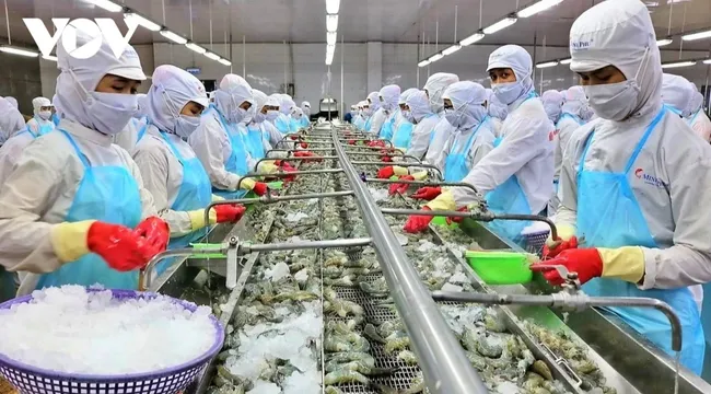 80% doanh nghiệp Việt Nam đã chủ động ứng phó với tác động từ thuế quan của Hoa Kỳ
