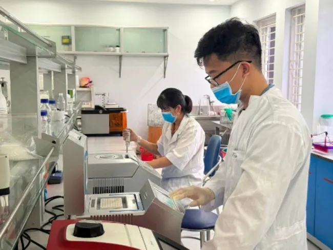 Research on variety selection and breeding at the Field Crops Research Institute. (Photo: HA LINH)