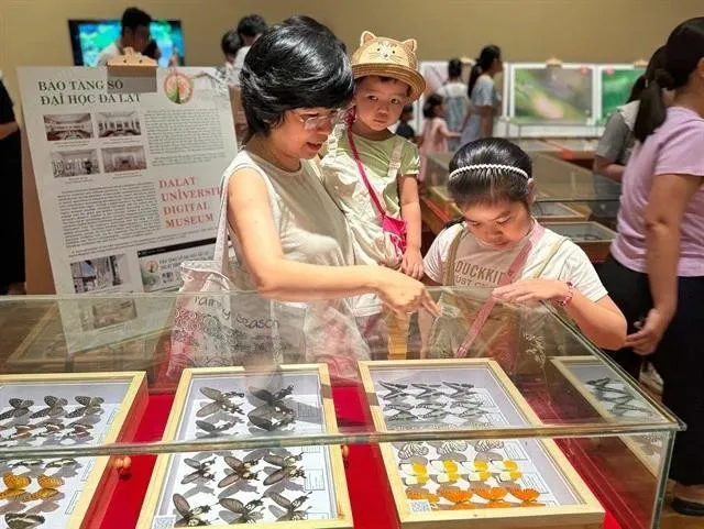 Visitors flock to see rare insect specimens at the Da dang sac mau con trung Viet Nam (The Diversity of Vietnamese Insects) exhibition at the Da Nang Museum. (Photo: nld.vn)