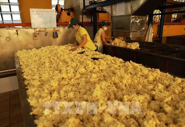 Workers process rubber for export at the Phu Rieng Company's factory. (Photo: VNA)