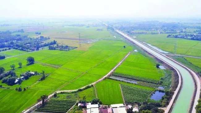 Dong Canal has transformed the local agricultural landscape, turning arid land into fertile and prosperous fields.