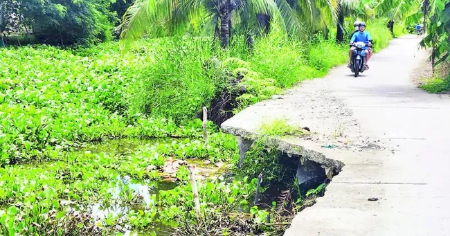 New erosion points along a rural road in Trung Doan Hamlet, An Minh Bac Commune, U Minh Thuong District, Kien Giang Province.