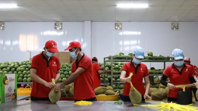 Cà phê, sầu riêng lập kỷ lục, nông sản Việt rộng cửa ra thế giới