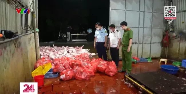 Khởi tố 3 đường dây buôn bán lợn bệnh, lợn chết