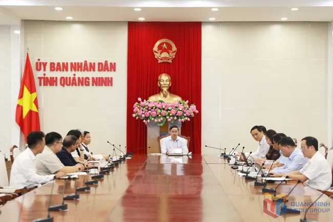 Quảng Ninh: Nhà đầu tư muốn rót 5 tỷ USD xây dựng dự án năng lượng xanh