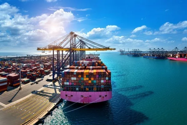 Nhanh chóng khai thác các thị trường xuất khẩu mới