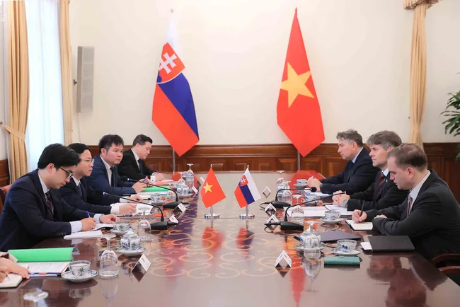 Vietnamese Deputy Minister of Foreaign Affairs Ngo Le Van and Marek Estok, Secretary of State at the Ministry of Foreign and European Affairs of Slovakia co-chair the Vietnam - Slovalia political consultation in Hanoi on July 9. (Photo: VNA)
