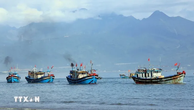 Raising public awareness about IUU fishing has been identified as a key task for the Hue city border guard force. (Photo: VNA)