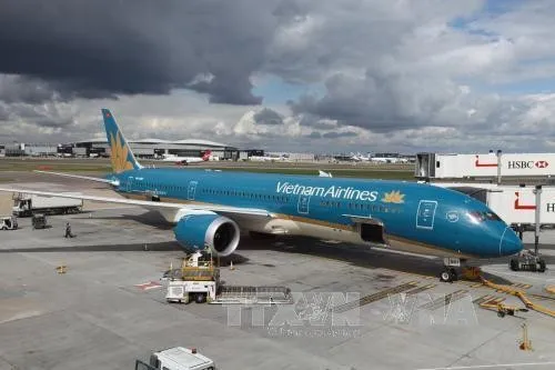 Vietnam Airlines cancels several key domestic routes, including flights between Ho Chi Minh City and Hai Phong (VN1188, VN1171, VN7188, VN7189, VN7056, and VN7057), as well as routes to Con Dao. (Photo: VNA)