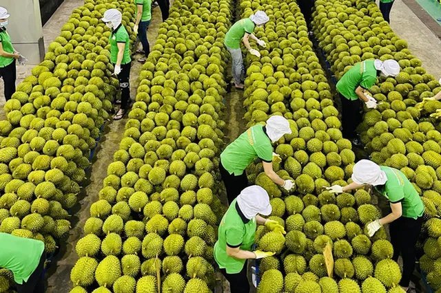 Giải pháp tăng tốc xuất khẩu nông sản