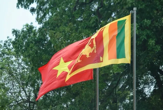 (Photo: https://nld.com.vn)