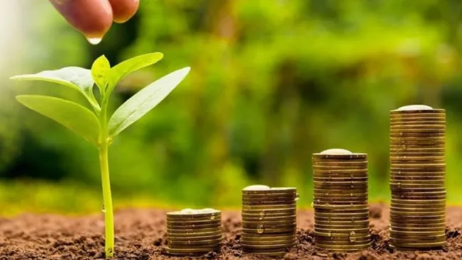 Lịch chốt trả cổ tức, tuần từ ngày 4 đến 8/8