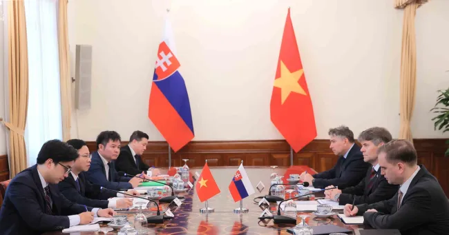 Vietnamese Deputy Minister of Foreaign Affairs Ngo Le Van and Marek Estok, Secretary of State at the Ministry of Foreign and European Affairs of Slovakia co-chair the Viet Nam - Slovalia political consultation in Ha Noi on July 9. (Photo: VNA)