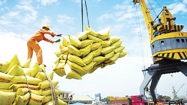 Senegal is a potential market for Viet Nam's rice exports. (Photo: NDO)