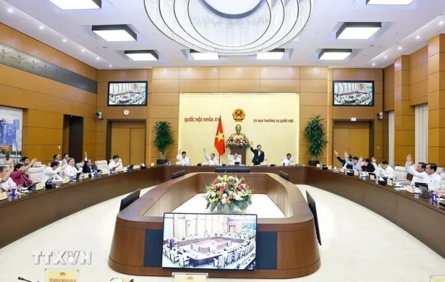 Full-time legislators vote at a session of the National Assembly Standing Committee. (Photo: VNA)