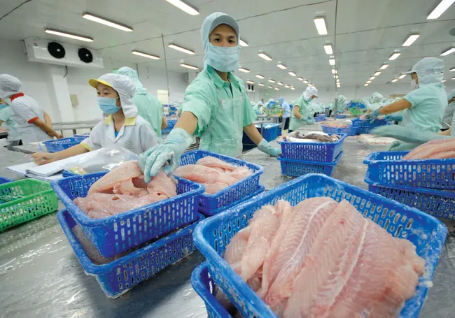 Xuất khẩu thủy sản 2025 có thể đạt 9,2 tỉ USD
