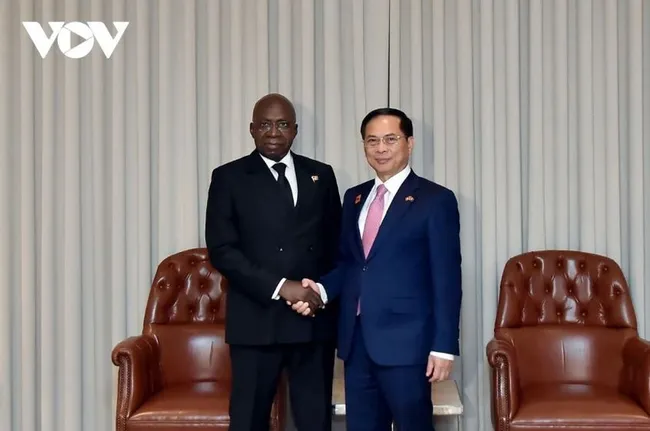 Vietnamese Minister of Foreign Affairs Bui Thanh Son (R) and Angolan Minister of External Relations Téte António. (Photo: vov.vn)