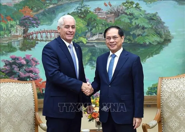 Deputy Prime Minister and Minister of Foreign Affairs Bui Thanh Son (R) receives Cuba's First Deputy Minister of Foreign Affairs Gerardo Penalver Portal in Hanoi on July 23. (Photo: VNA)