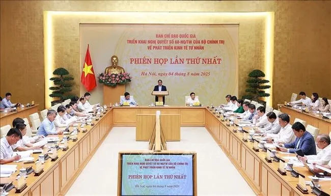 At the inaugural meeting of the national steering committee on private economic development in Hanoi on August 4. (Photo: VNA)
