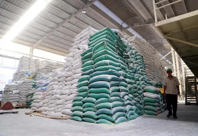 Giá gạo Việt Nam tiếp đà tăng mạnh, vươn lên mức đắt đỏ nhất thế giới