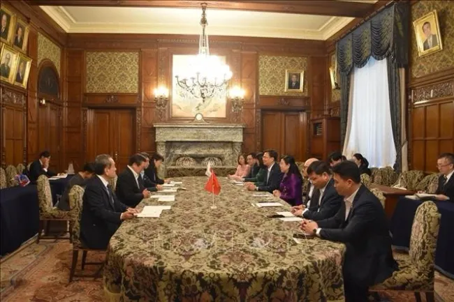 The meeting between the Vietnamese delegation and representatives of the lower house of Japan (Photo: VNA)
