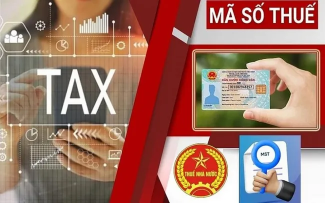 Sử dụng số định danh cá nhân thay cho mã số thuế cần lưu ý gì?