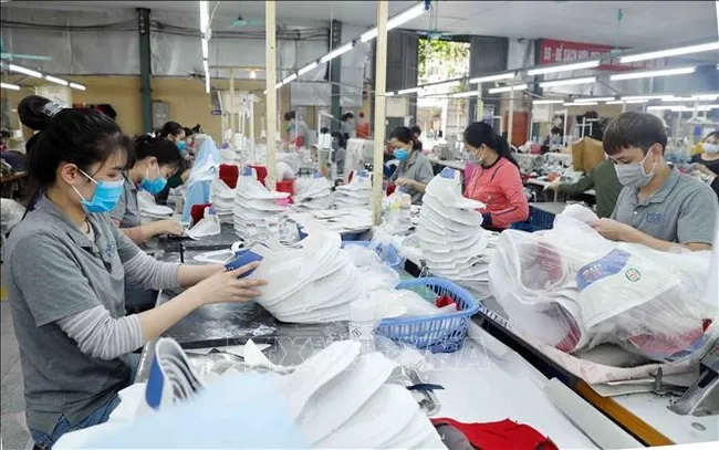 Producing shoes for export to the EU at Truong Xuan footwear company in Hanoi. (Photo: VNA)