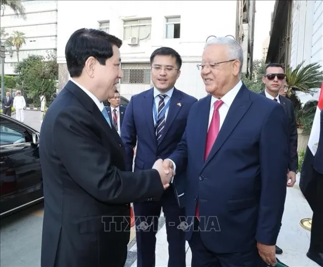 Speaker of the Egyptian House of Representatives Hanafy El Gebaly (R) welcomes State President Luong Cuong in Cairo on August 6. (Photo: VNA)