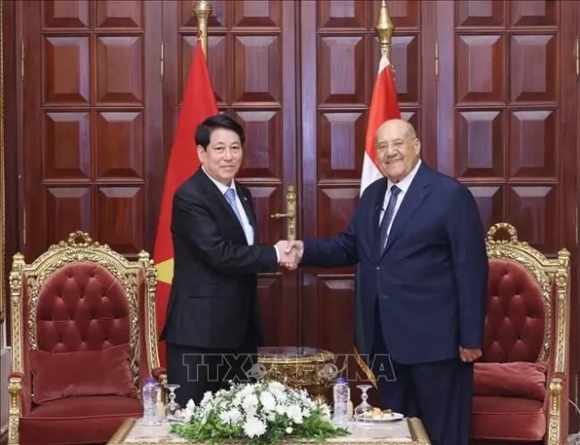 Vietnamese State President Luong Cuong (L) meets with President of the Egyptian Senate Abdel-Wahab Abdel-Razeq. (Photo: VNA)