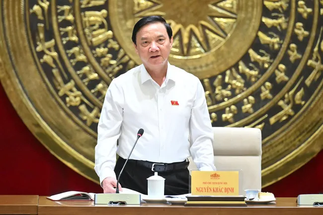 NA Vice Chairman Nguyen Khac Dinh speaks at the meeting (Photo: quochoi.vn)