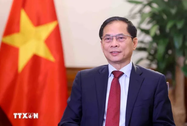Deputy Prime Minister and Minister of Foreign Affairs Bui Thanh Son (Photo: VNA)
