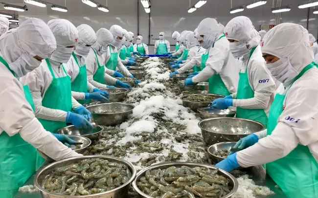 Xuất khẩu thủy sản Việt Nam: Chủ động ứng phó, nâng chuẩn để giữ vững thị trường