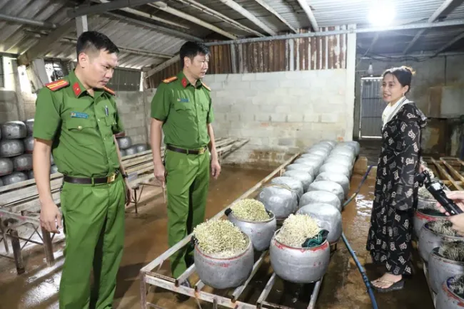 Phát hiện cơ sở sản xuất giá đỗ ở Hà Tĩnh dùng chất cấm "nước kẹo"