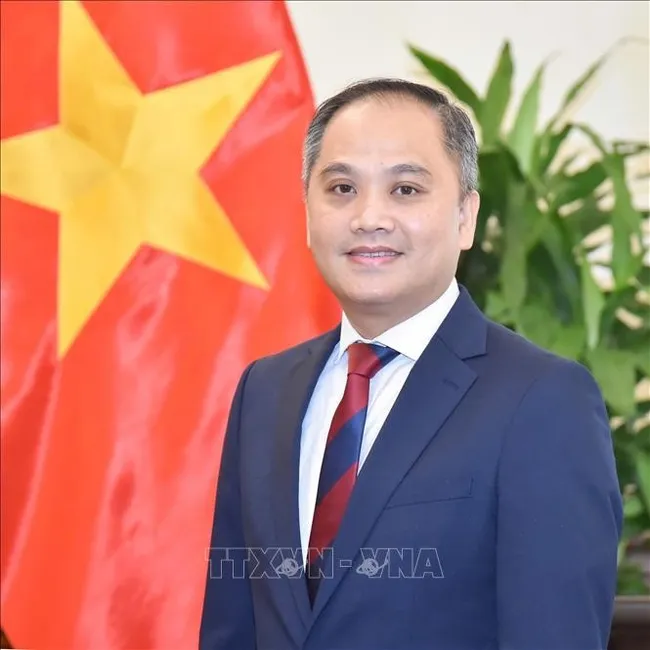 Vietnamese Ambassador to New Zealand Phan Minh Giang. (Photo: VNA)