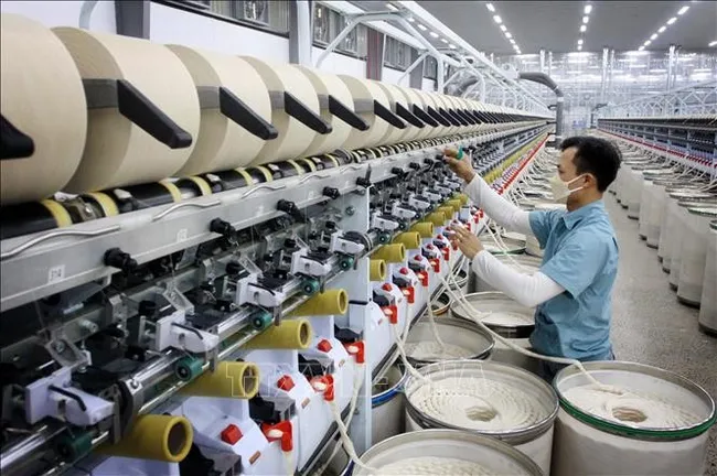 The private sector is expected to be an important driver of economic growth. (Photo: VNA)