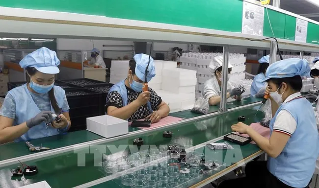 Illustrative photo (Photo: VNA)