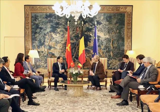 Deputy Prime Minister Bui Thanh Son (fifth, left) meets with President of the Belgian House of Representatives Peter De Roover (fourth, right) on October 10. (Photo: VNA)