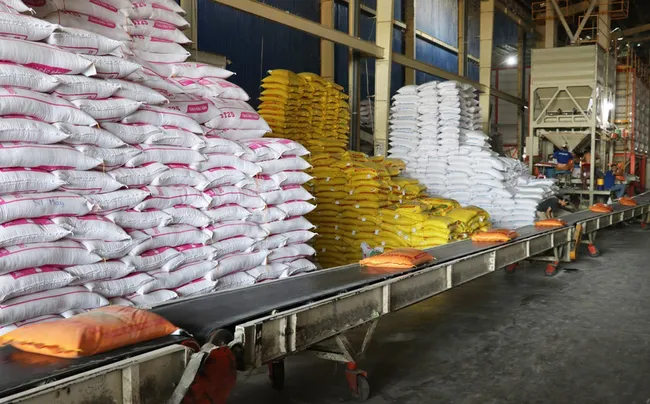Vietnam exports more than 7 million tonnes of rice as of October 15, according to the Vietnam Food Association. (Photo: VNA)