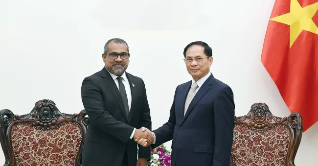 Deputy Prime Minister Bui Thanh Son (R) hosts a reception for Maldivian Minister of Foreign Affairs Abdulla Khaleel in Hanoi on October 24. (Photo: VNA)