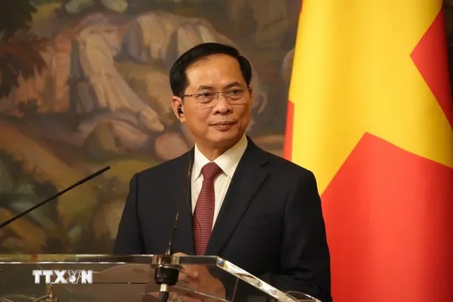 Deputy Prime Minister Bui Thanh Son. (Photo: VNA)