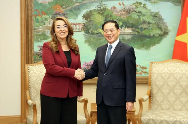 Deputy Prime Minister Bui Thanh Son (R) and Ghada Waly, UN Under-Secretary-General and Director-General, in Ha Noi on October 21. (Photo: baochinhphu.vn)