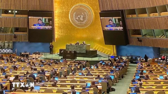 A Vietnamese representative speaks at an event adopting the Ha Noi Convention on December 24, 2024 (Photo: VNA)