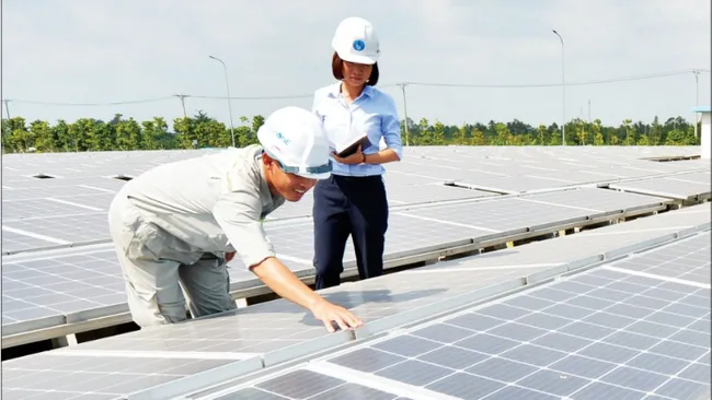 Inspecting and maintaining solar batteries at the Aquaone Hau Giang Water Plant. (Photo: Quoc Tuan)