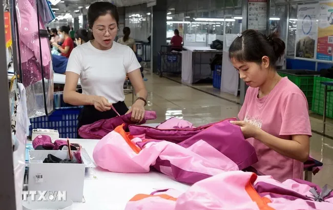 Garments for export to the EU market being produced at TNG Garment Corporation. (Photo: VNA)