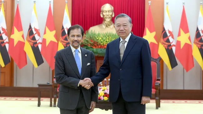 Party General Secretary To Lam (right) meets Sultan of Brunei Haji Hassanal Bolkiah in Ha noi on November 30. (Photo: NDO)