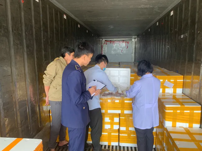 Phát hiện trên 10 tấn cá khoai chứa chất cấm trên đường đi tiêu thụ