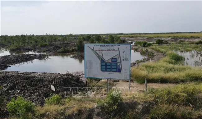 Hoàn thiện khung pháp lý cho Khu thương mại tự do TP Hồ Chí Minh