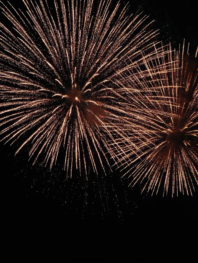 Th&agrave;nh phố Hồ Ch&iacute; Minh rực rỡ trong thời khắc đ&oacute;n ch&agrave;o năm mới 2026- Ảnh 9.